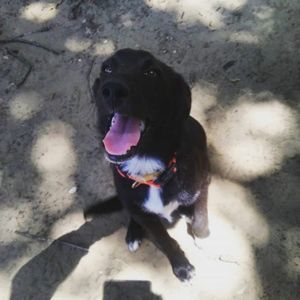 Meet your Posher, Alisha